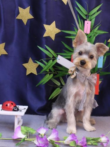 20230729モコナくん